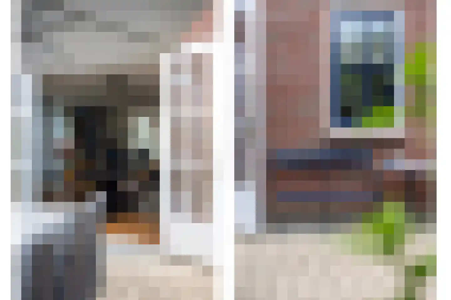 Schutsboom 48 Helmond thumbnail 31