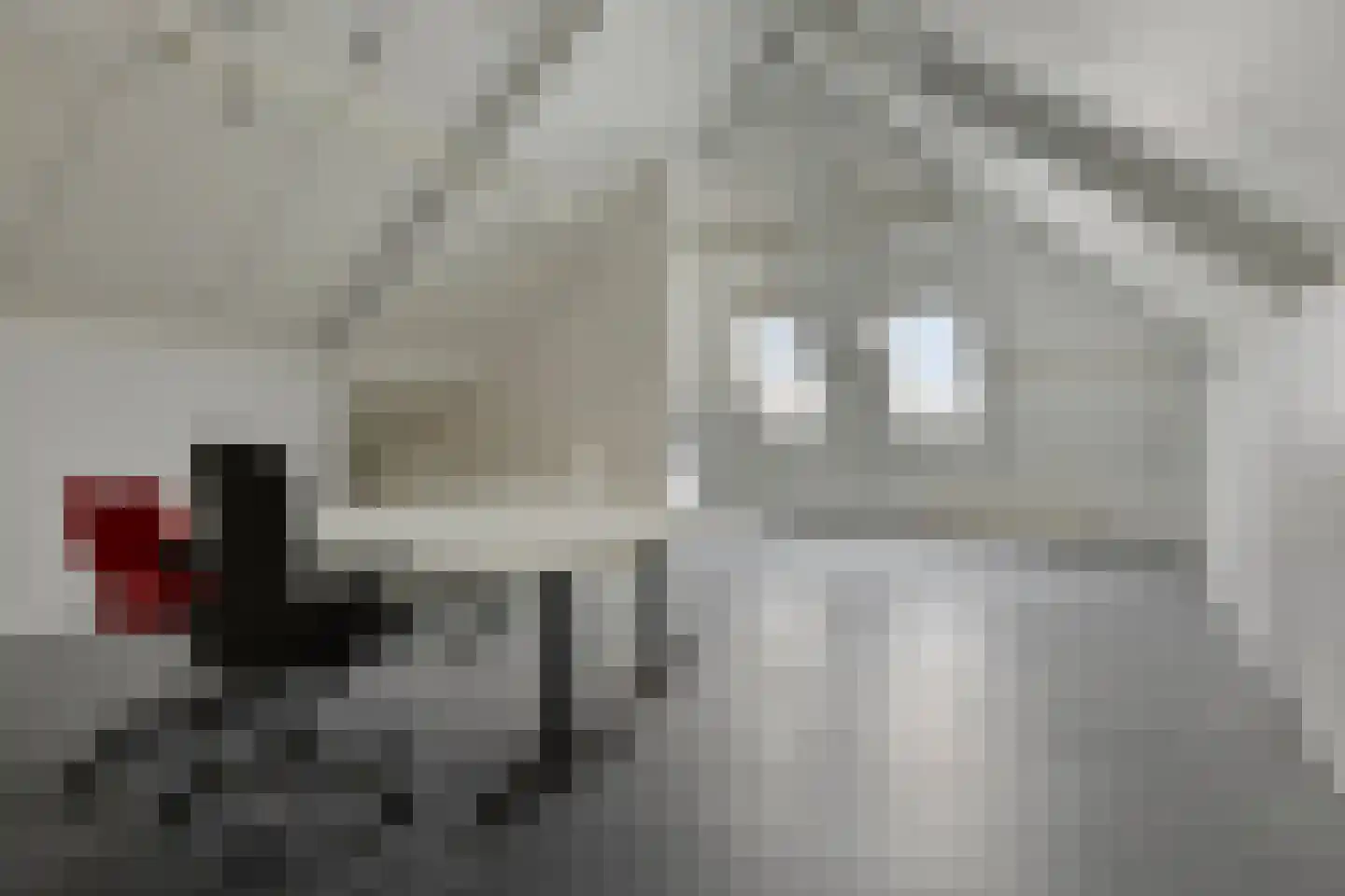 Schutsboom 48 Helmond thumbnail 46