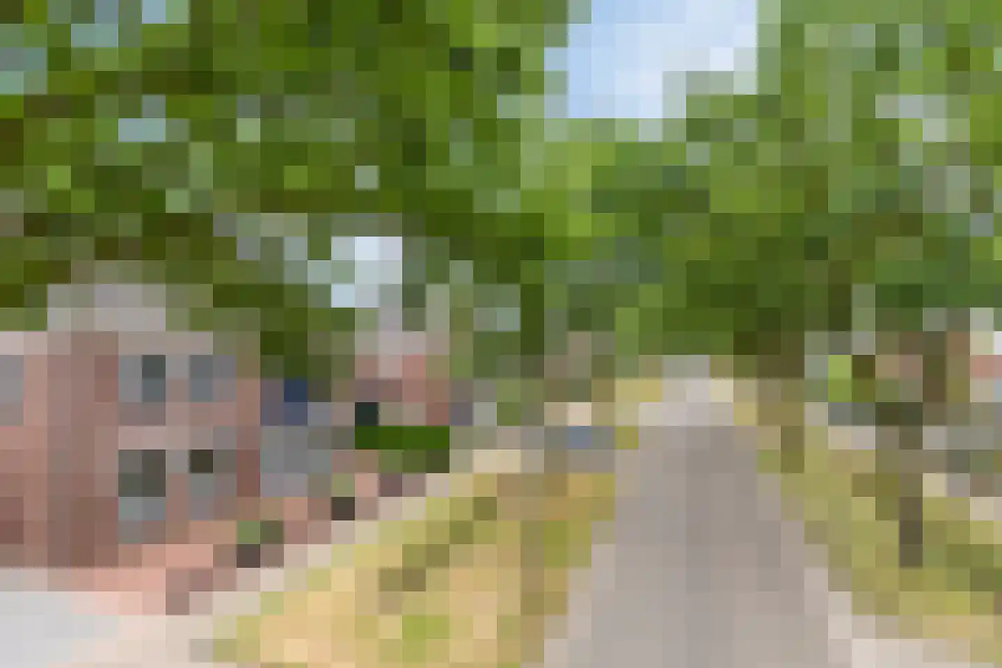 Schutsboom 48 Helmond thumbnail 48