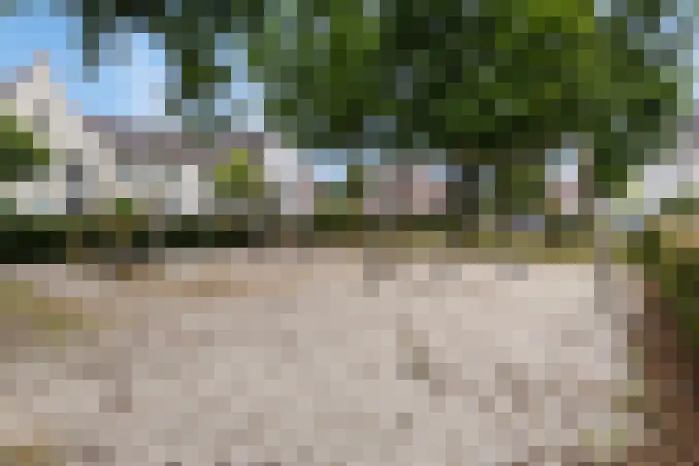 Schutsboom 48 Helmond thumbnail 50