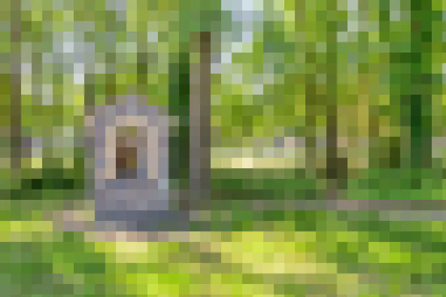Schutsboom 48 Helmond thumbnail 52