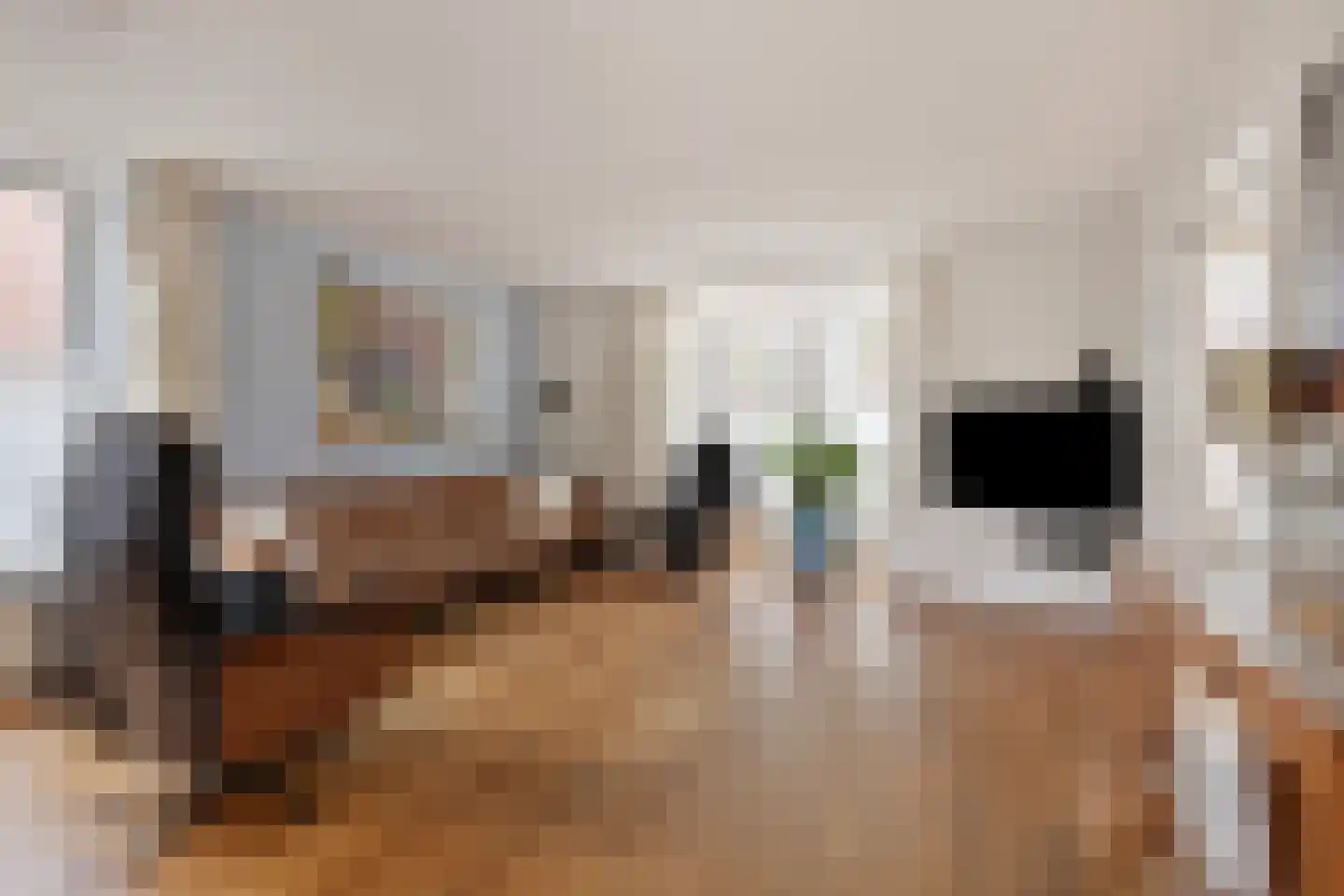 Schutsboom 48 Helmond thumbnail 8