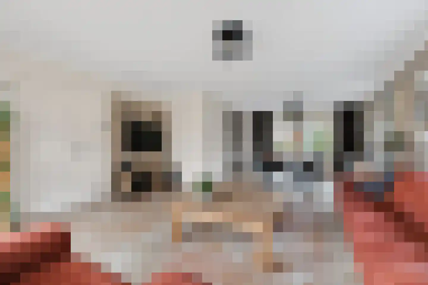 Schutsboom 69 Bergeijk thumbnail 10