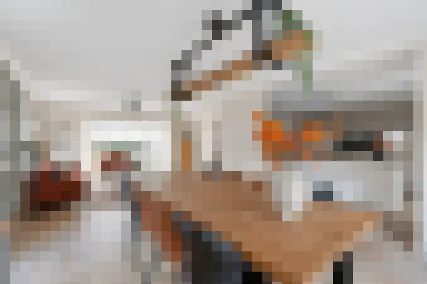 Schutsboom 69 Bergeijk thumbnail 13