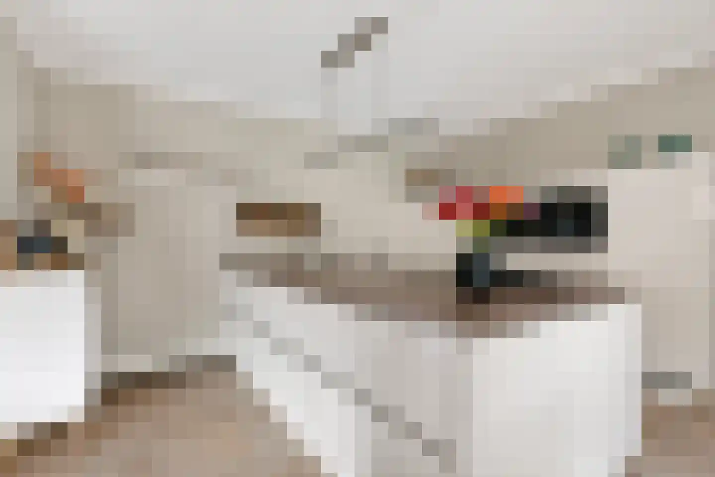 Schutsboom 69 Bergeijk thumbnail 14