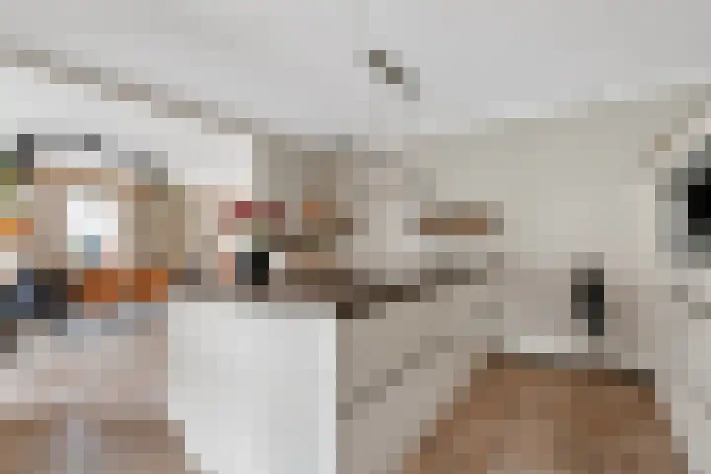 Schutsboom 69 Bergeijk thumbnail 16