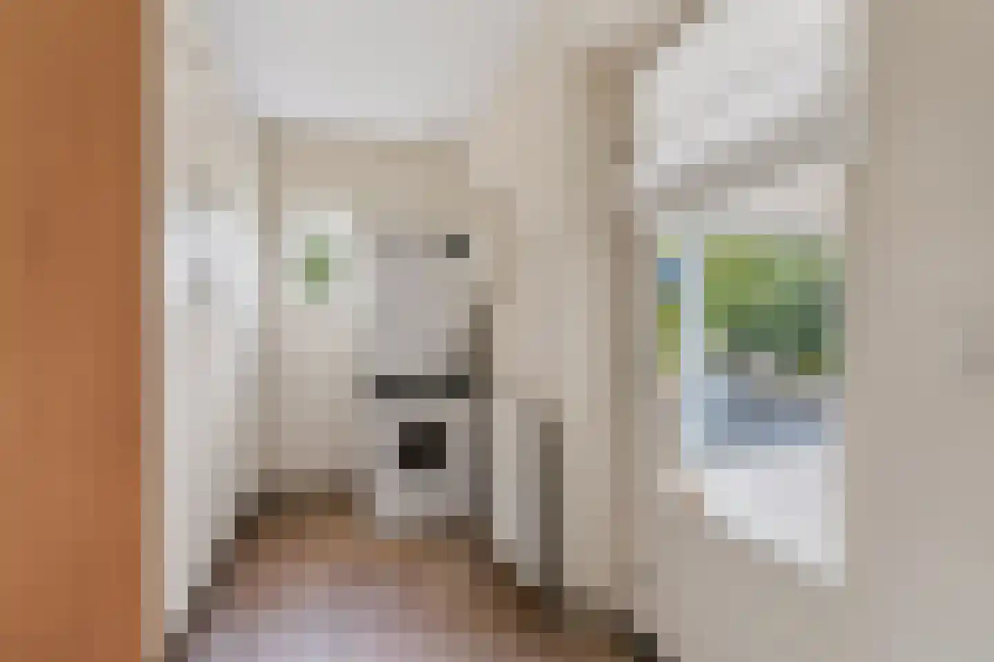 Schutsboom 69 Bergeijk thumbnail 18