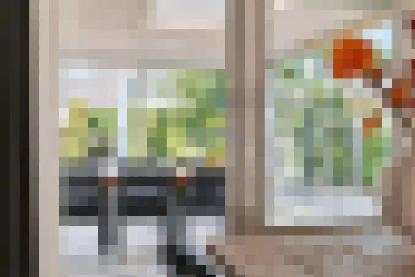 Schutsboom 69 Bergeijk thumbnail 19