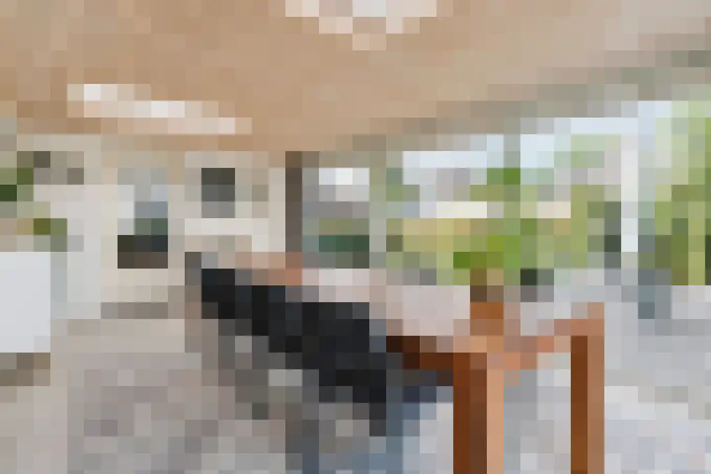 Schutsboom 69 Bergeijk thumbnail 20