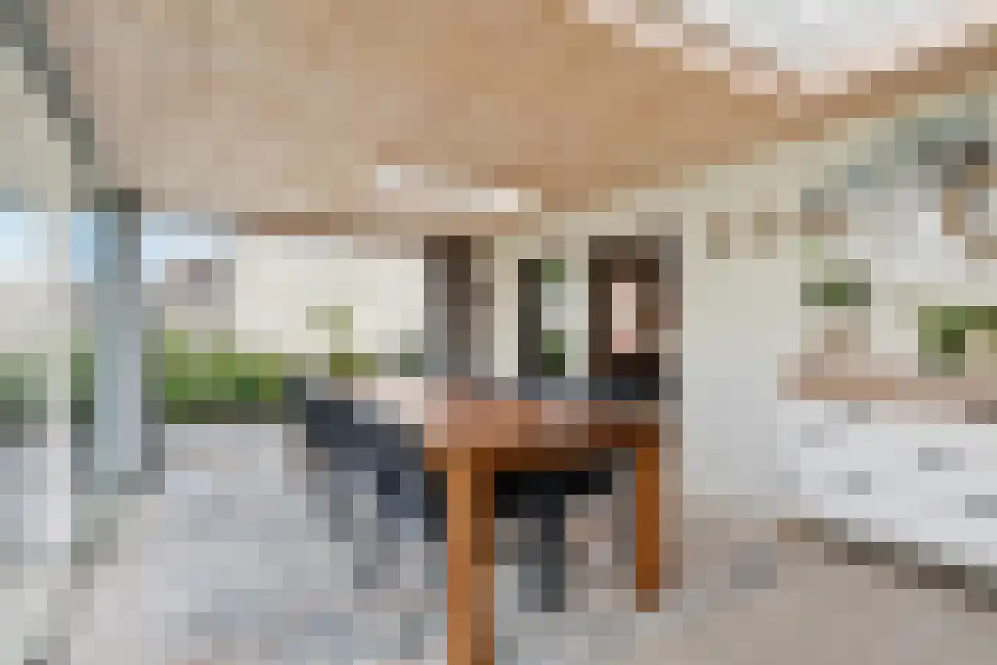 Schutsboom 69 Bergeijk thumbnail 21
