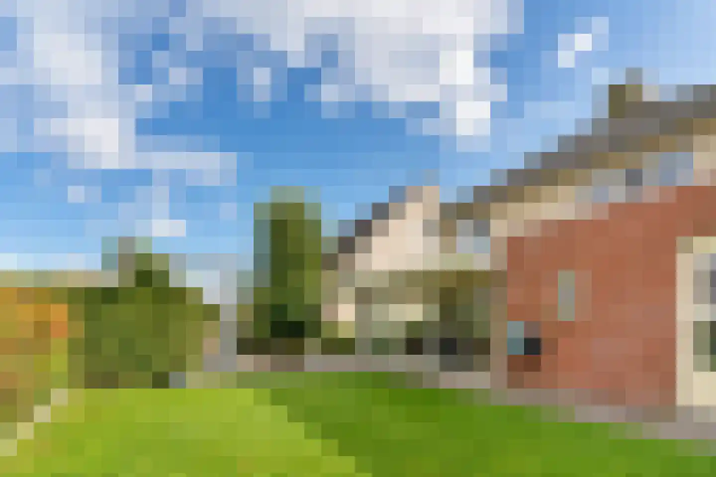 Schutsboom 69 Bergeijk thumbnail 34