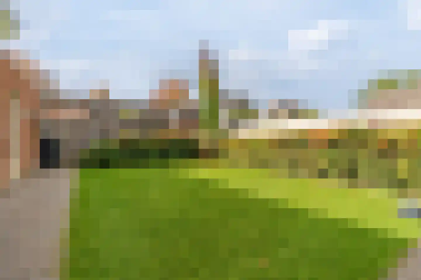 Schutsboom 69 Bergeijk thumbnail 35