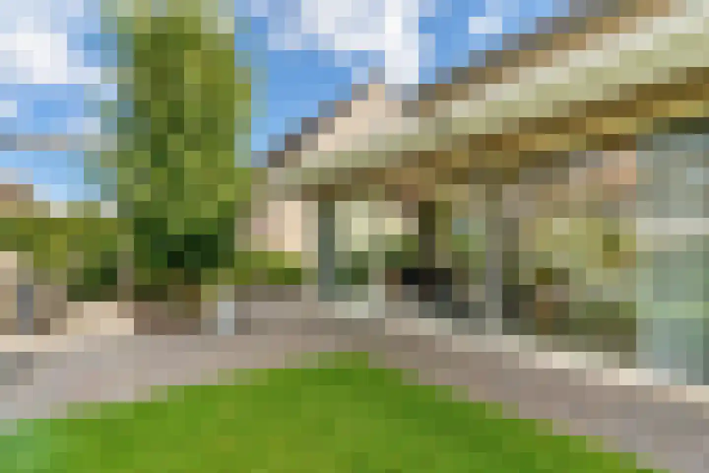 Schutsboom 69 Bergeijk thumbnail 36