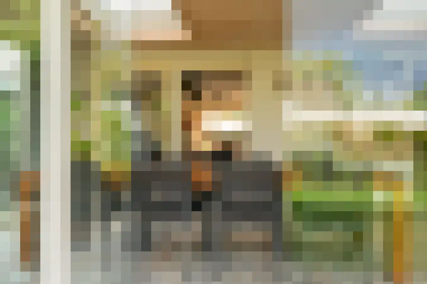 Schutsboom 69 Bergeijk thumbnail 37