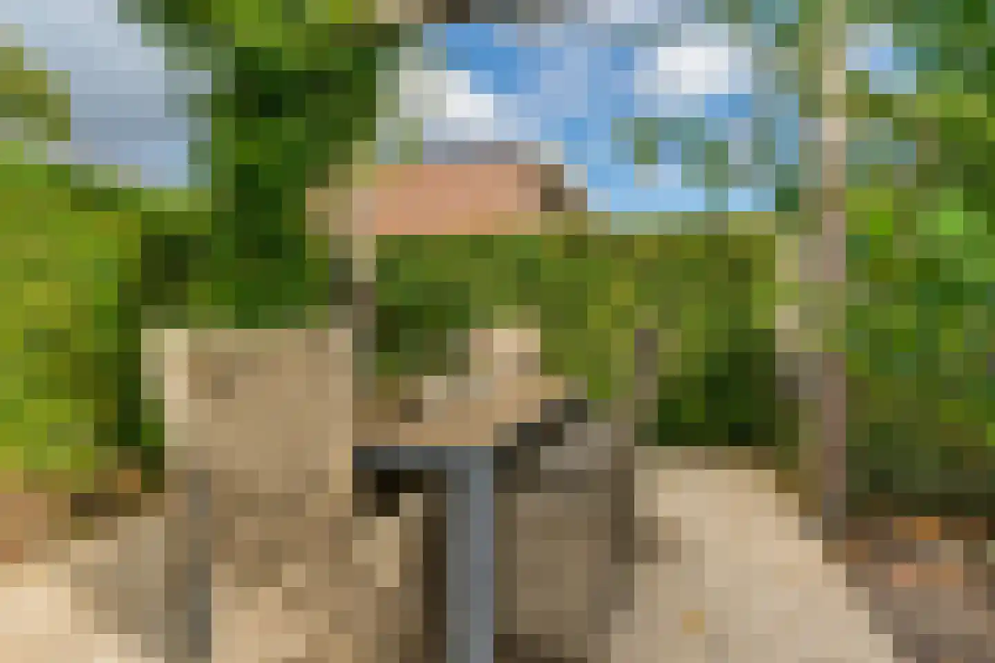 Schutsboom 69 Bergeijk thumbnail 39