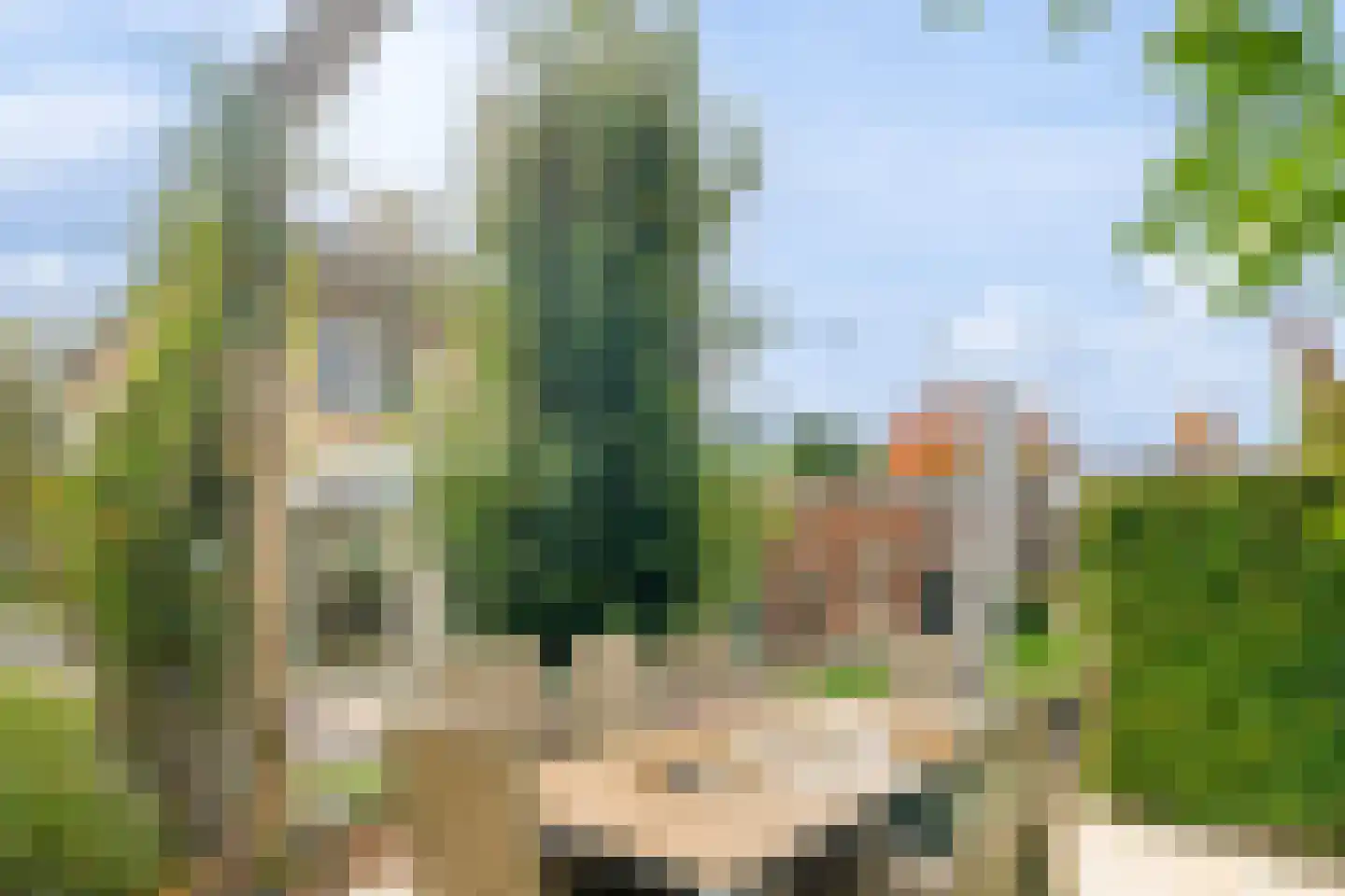Schutsboom 69 Bergeijk thumbnail 40