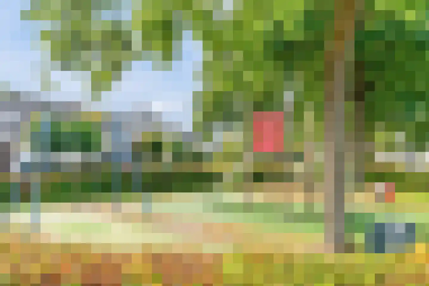 Schutsboom 69 Bergeijk thumbnail 42