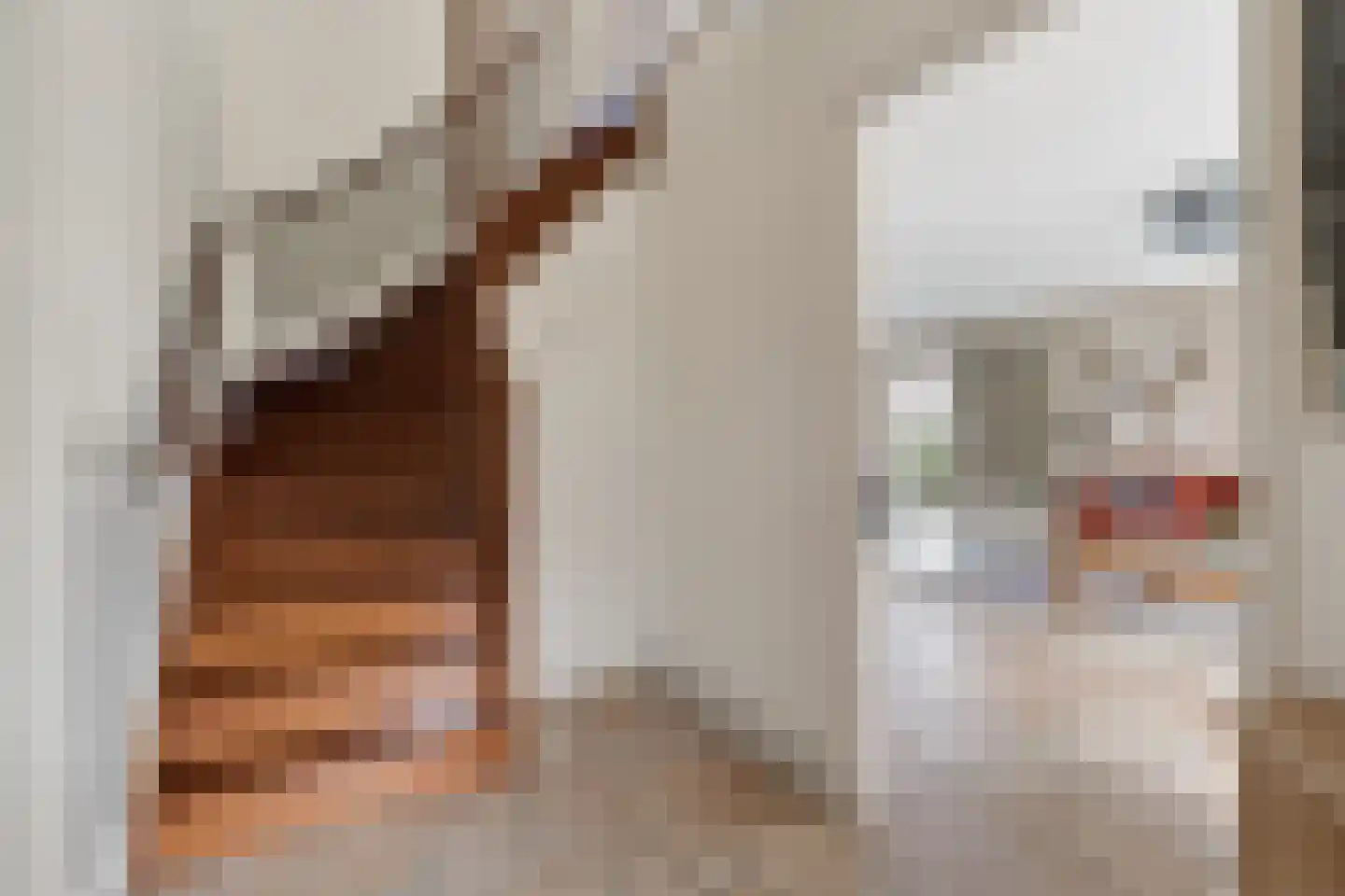 Schutsboom 69 Bergeijk thumbnail 6