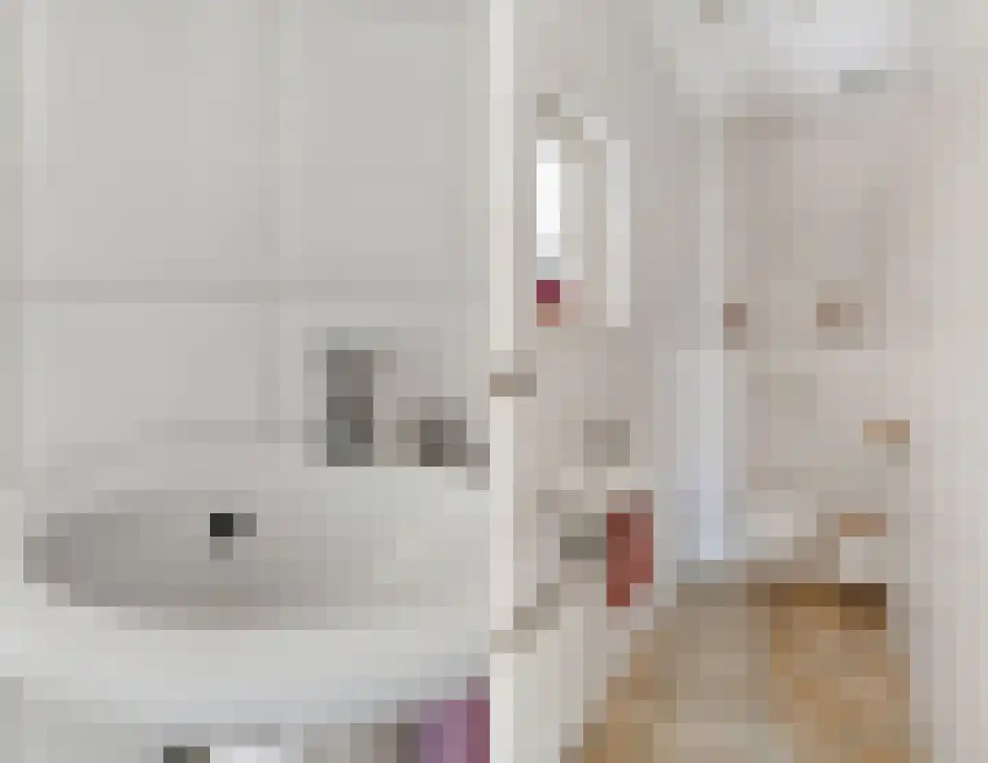 Schutsboom 69 Bergeijk thumbnail 7