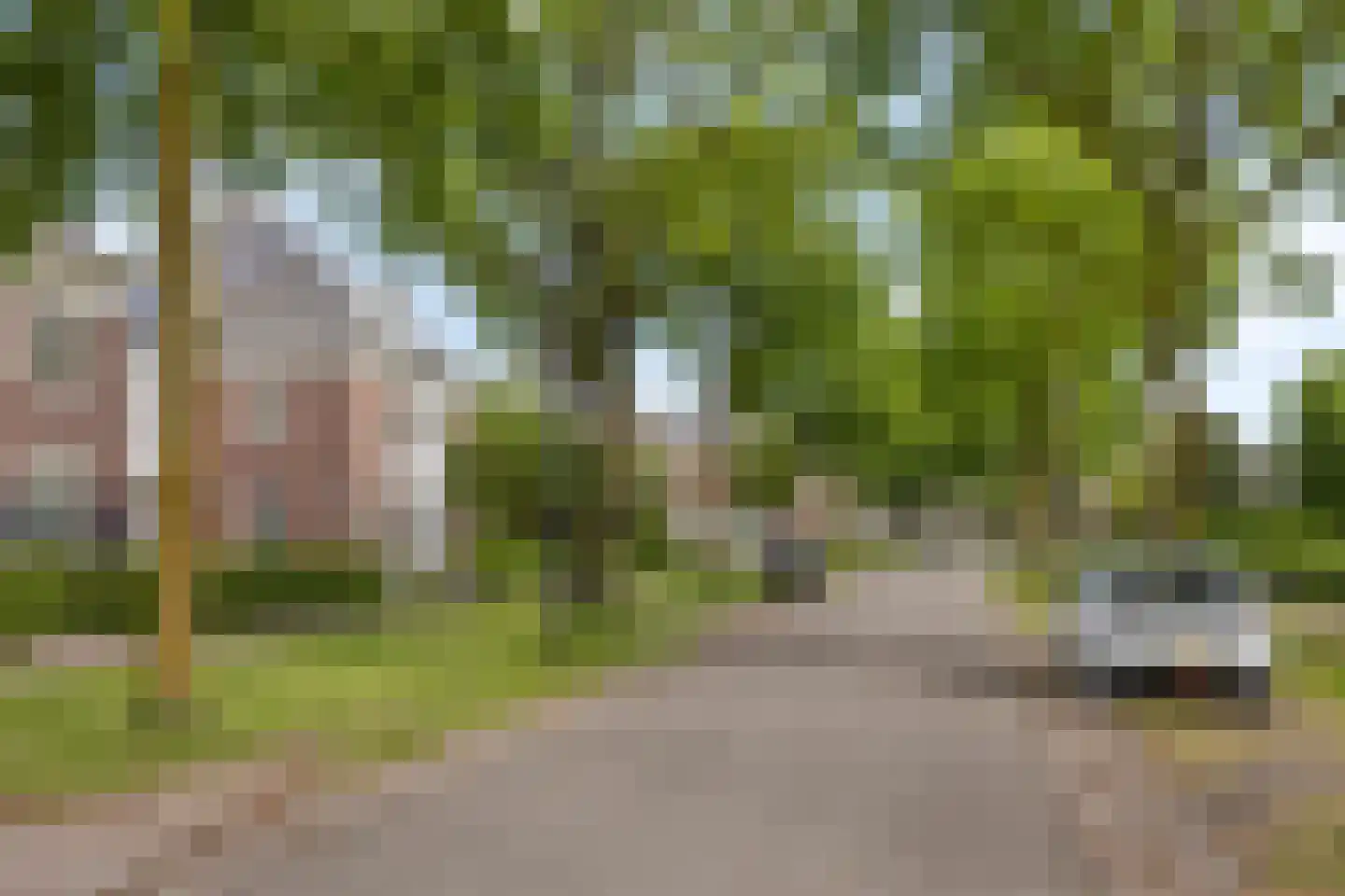 Schutsboom 71 A Helmond thumbnail 13
