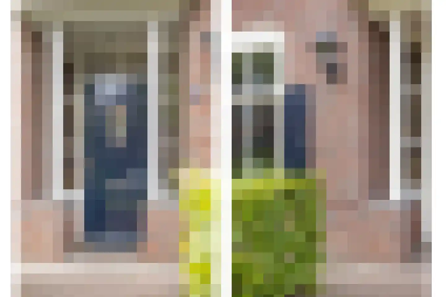 Schutsboom 71 A Helmond thumbnail 17