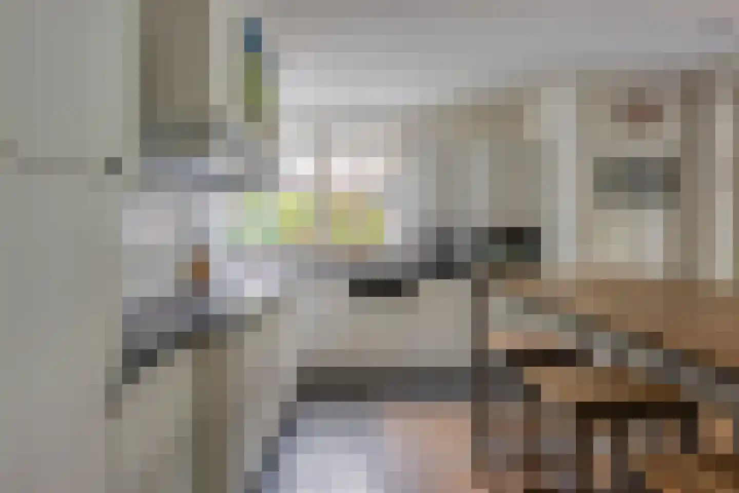 Schutsboom 71 A Helmond thumbnail 30