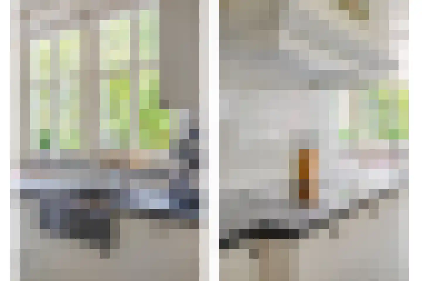 Schutsboom 71 A Helmond thumbnail 32