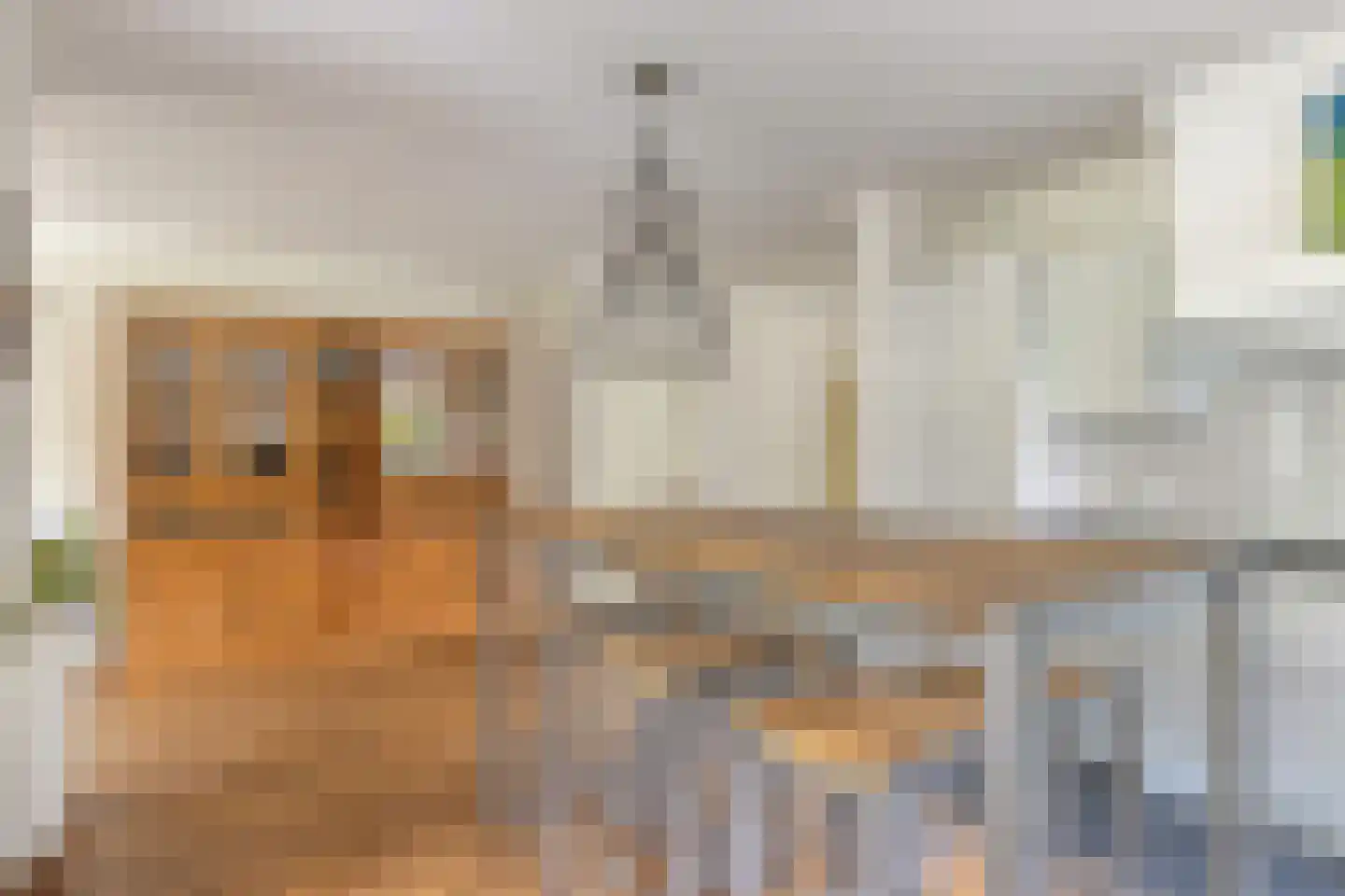 Schutsboom 71 A Helmond thumbnail 33