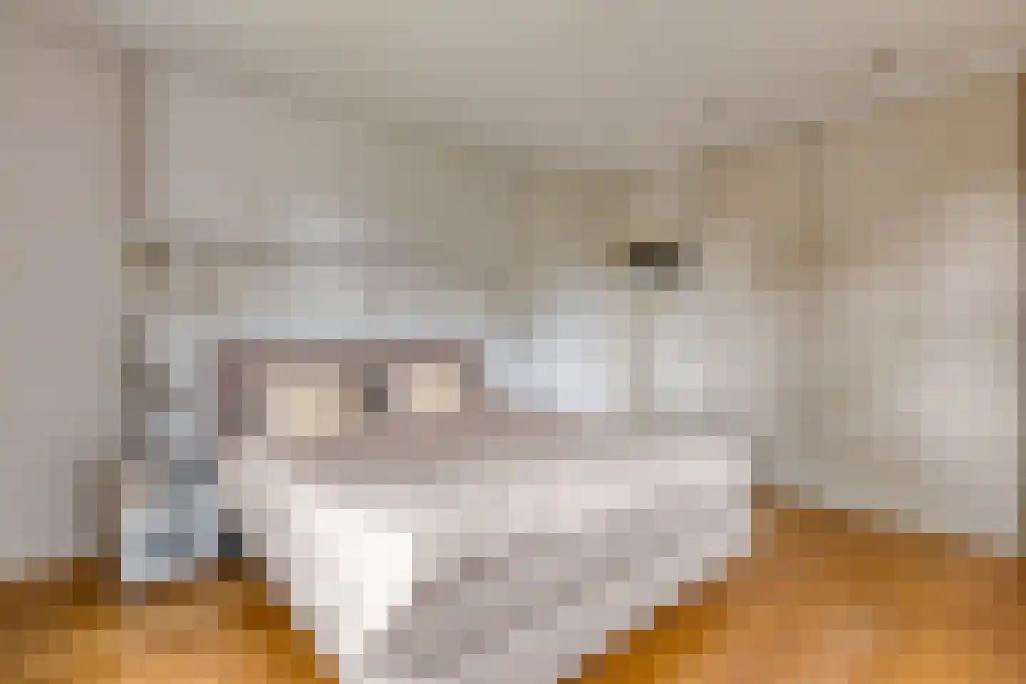 Schutsboom 71 A Helmond thumbnail 38