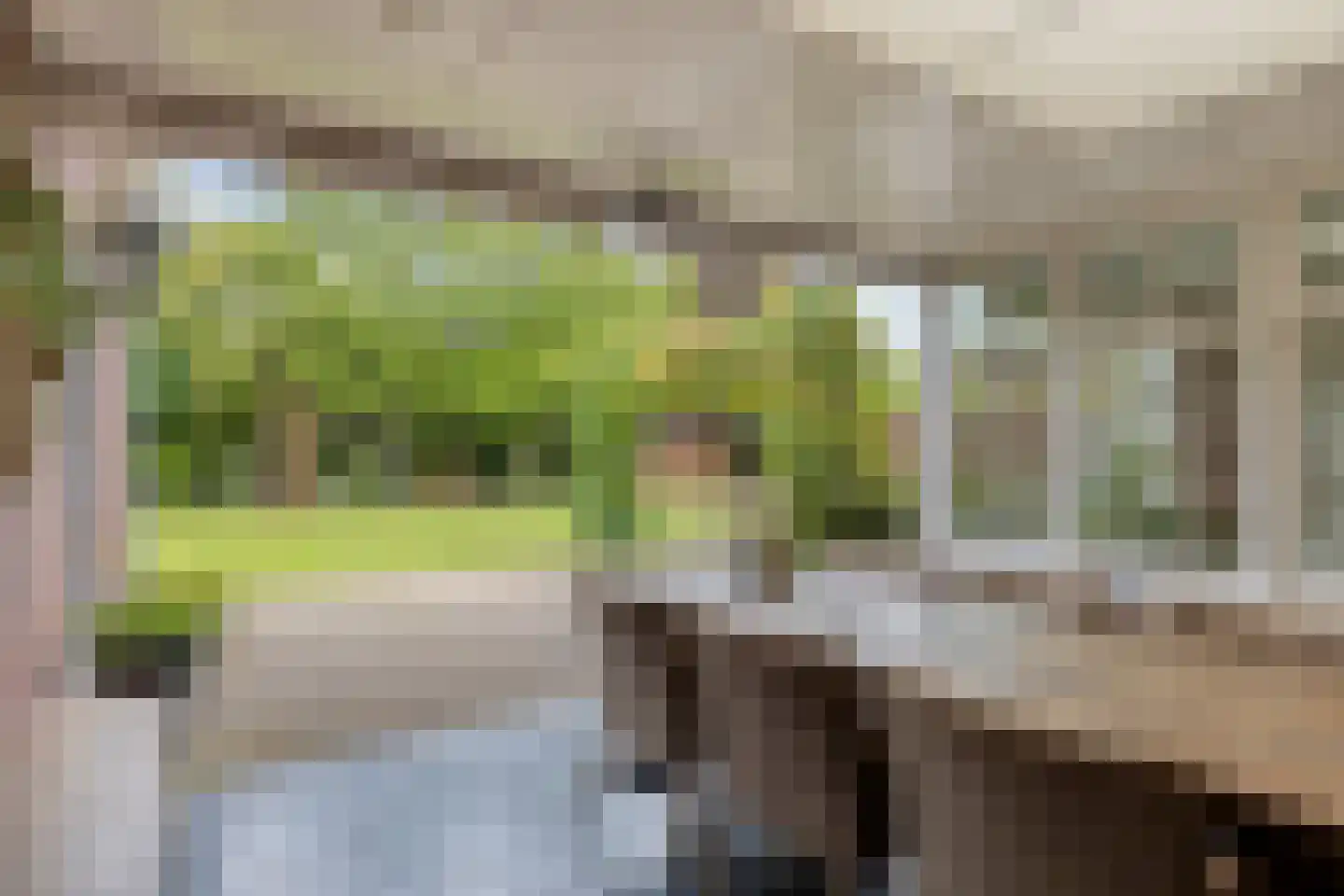 Schutsboom 71 A Helmond thumbnail 70
