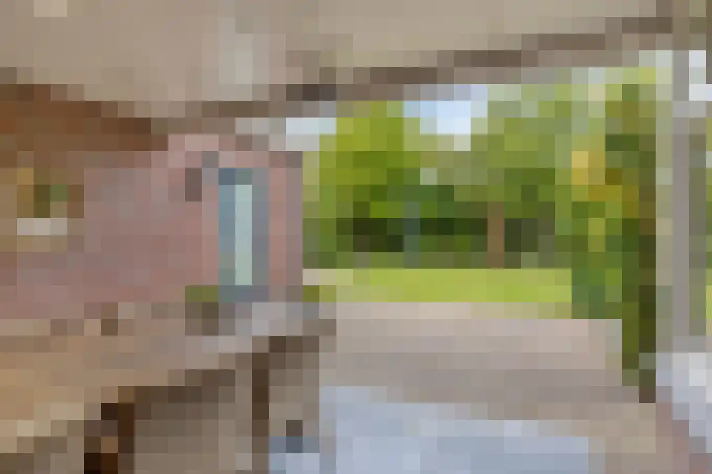 Schutsboom 71 A Helmond thumbnail 71