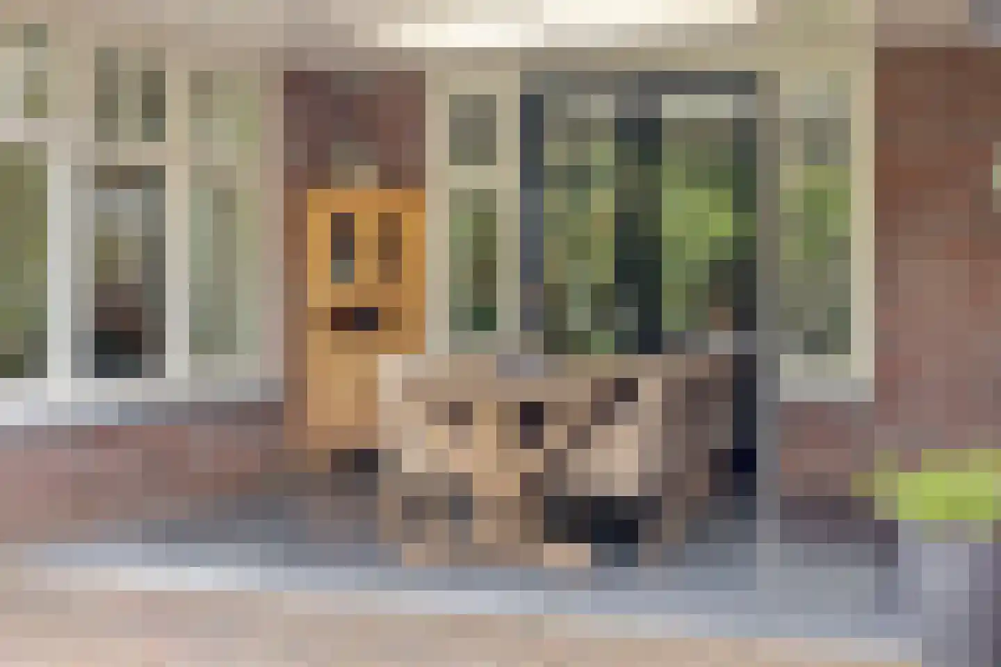 Schutsboom 71 A Helmond thumbnail 72