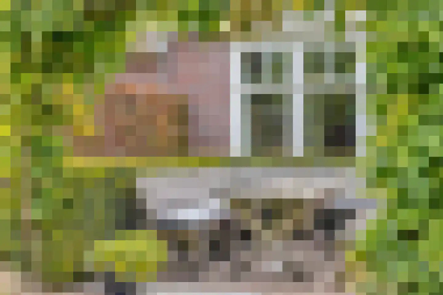 Schutsboom 71 A Helmond thumbnail 74