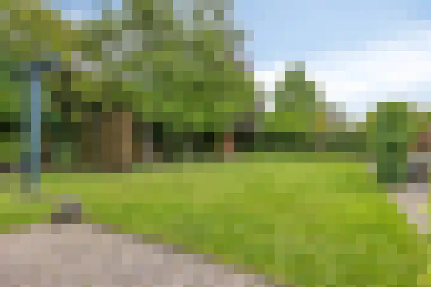 Schutsboom 71 A Helmond thumbnail 75