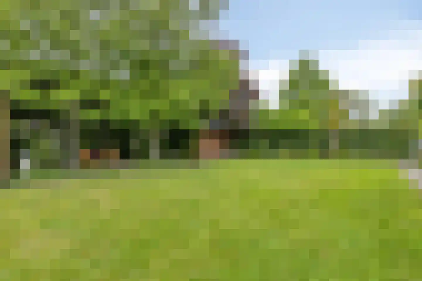 Schutsboom 71 A Helmond thumbnail 77