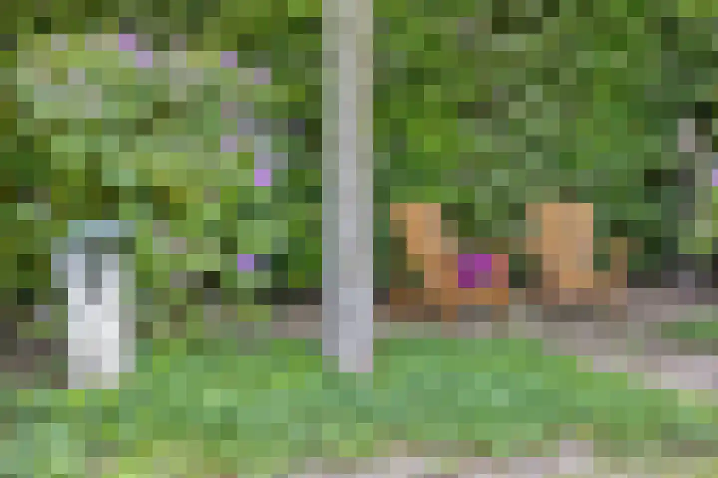 Schutsboom 71 A Helmond thumbnail 78