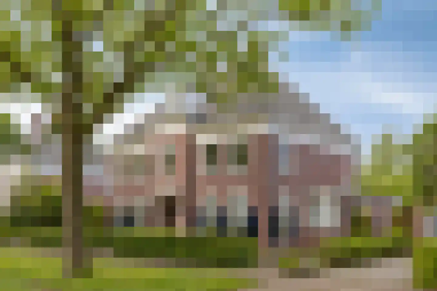 Schutsboom 71 A Helmond thumbnail 8