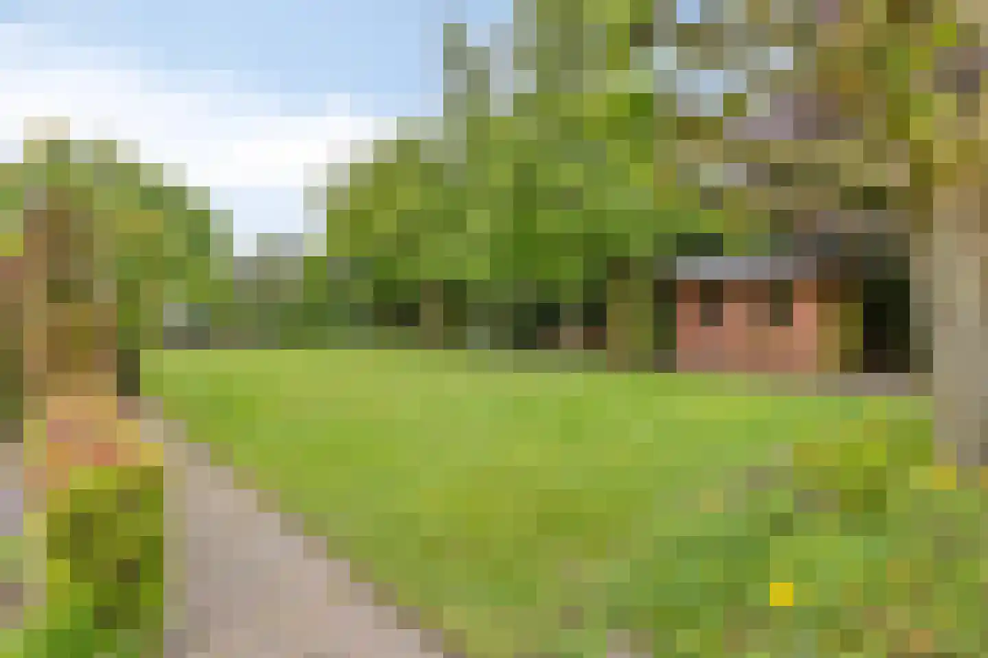 Schutsboom 71 A Helmond thumbnail 80