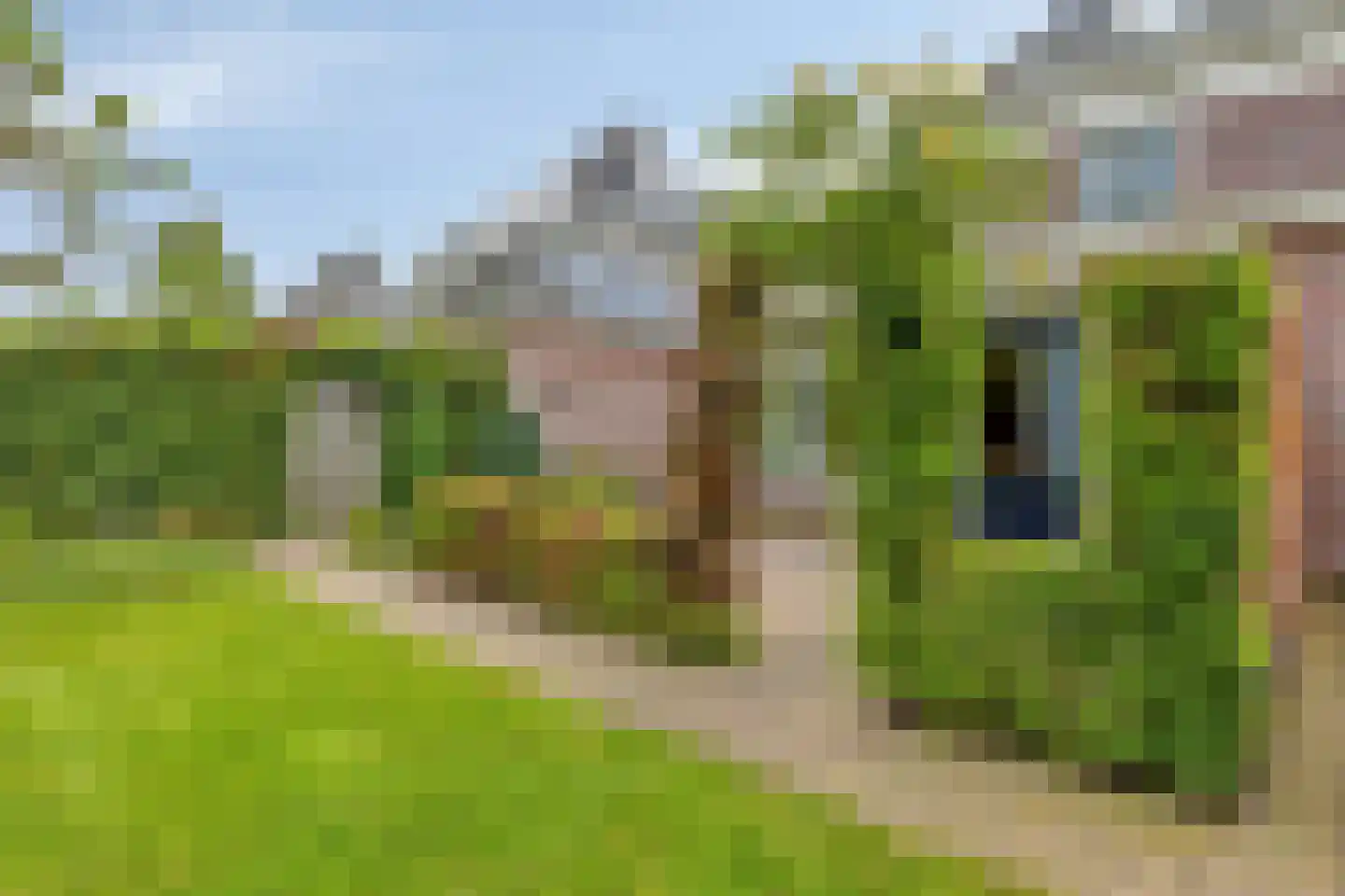 Schutsboom 71 A Helmond thumbnail 82