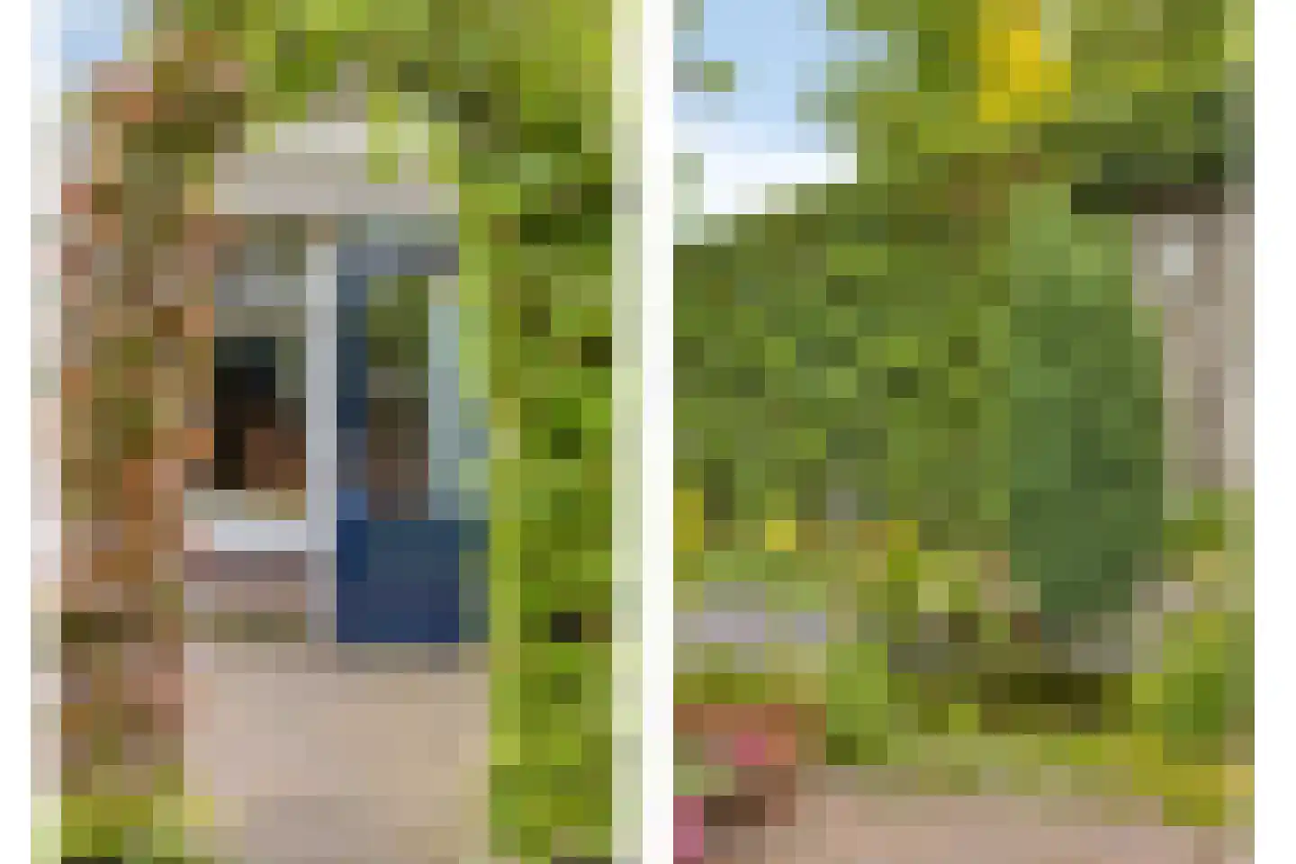 Schutsboom 71 A Helmond thumbnail 83