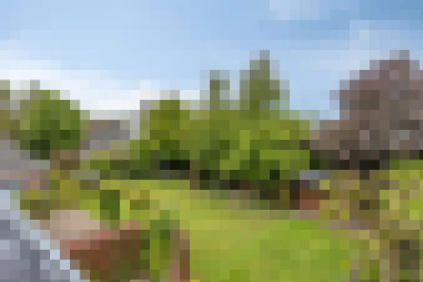 Schutsboom 71 A Helmond thumbnail 85