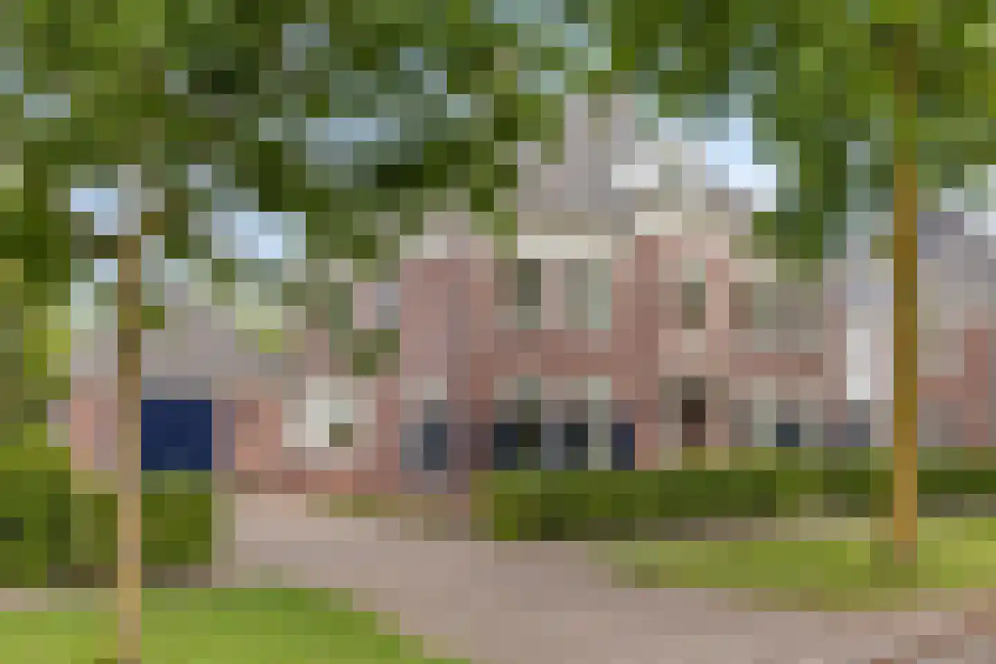 Schutsboom 71 A Helmond thumbnail 9