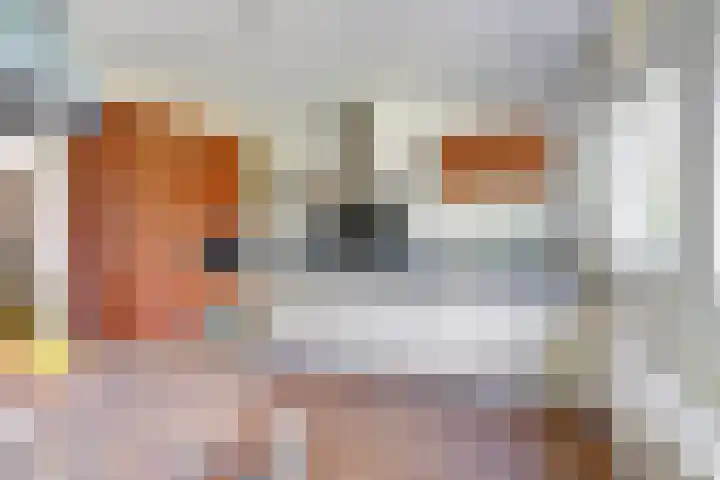 Schutsboom 74 Hilvarenbeek thumbnail 10