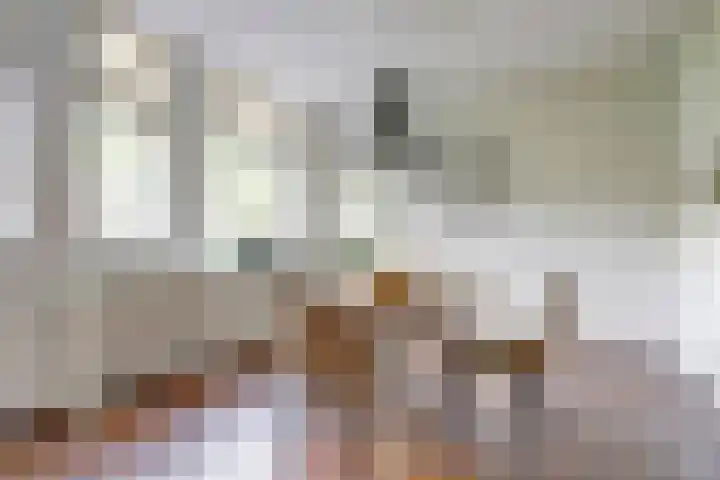 Schutsboom 74 Hilvarenbeek thumbnail 11