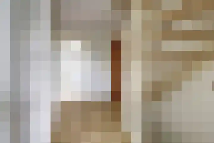 Schutsboom 74 Hilvarenbeek thumbnail 12