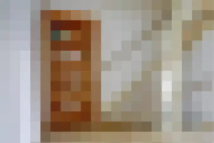 Schutsboom 74 Hilvarenbeek thumbnail 13