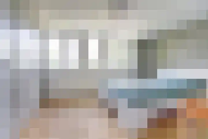Schutsboom 74 Hilvarenbeek thumbnail 14