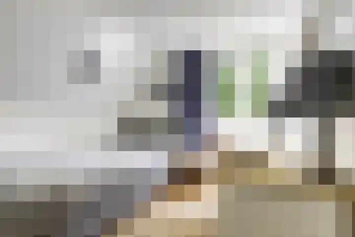 Schutsboom 74 Hilvarenbeek thumbnail 16