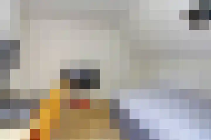 Schutsboom 74 Hilvarenbeek thumbnail 17