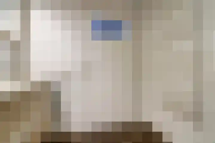 Schutsboom 74 Hilvarenbeek thumbnail 20